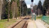 93-NoveUdoli-zelst