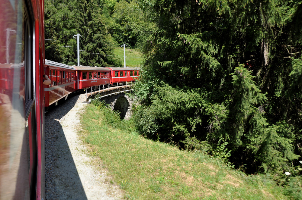 Bernina expres