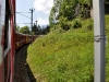 Bernina expres