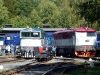 02-luzna2011