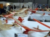 25-modelhobby2013-praha