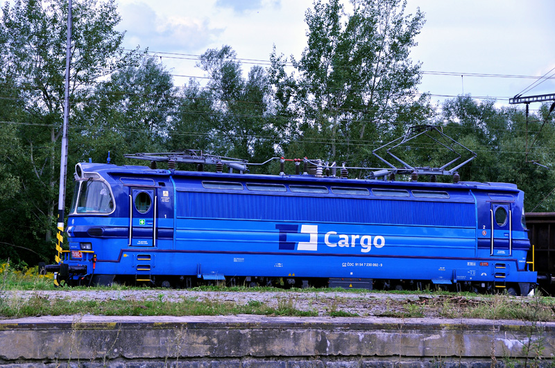 Krasavice v barvách ČD cargo projíždí nádražím