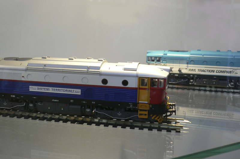 hornby-brejlovec_07