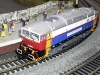 hornby-brejlovec_01