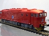 hornby-brejlovec_04