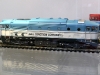 hornby-brejlovec_06