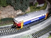 hornby-brejlovec_08